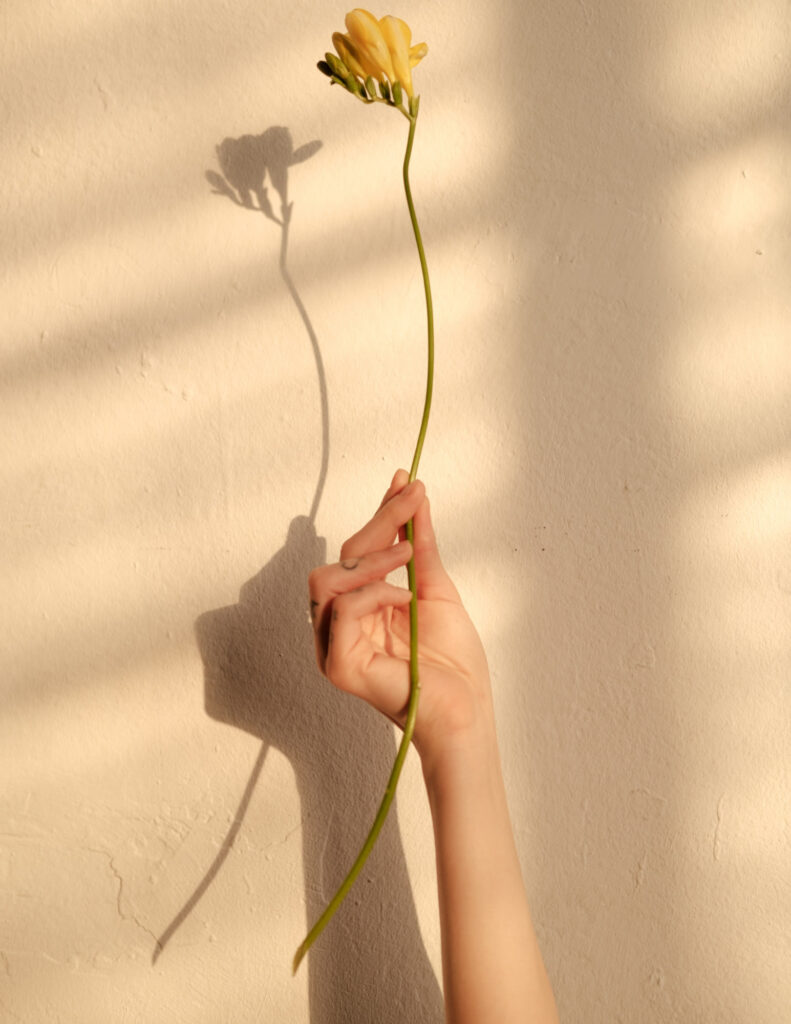 person holding flower