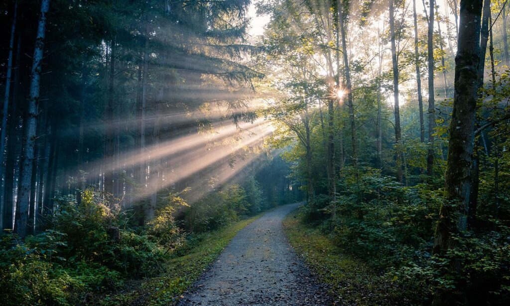 healing path